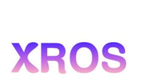 XROS Initiative Isn't Limited to Delhi, Bengaluru or Chennai: Meta ...