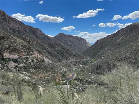 2023 Best 10 Dog Friendly Trails In Tucson Alltrails