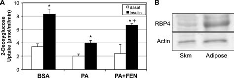 Fenretinide Prevents Lipid Induced Insulin Resistance By Blocking