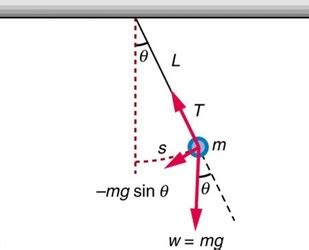 Simple Pendulum | Class Eleven Physics