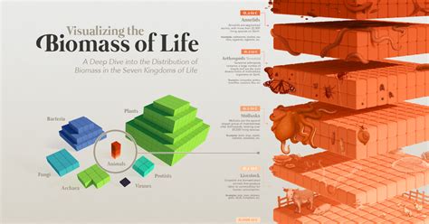 All The Biomass On Earth In One Massive Visualization