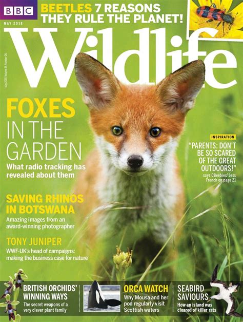 Bbc Wildlife May 2018 Magazine Get Your Digital Subscription