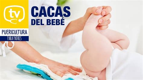 ¿caca Blanca En Bebés Y Niños Causas Y Cuándo Preocuparse Pequelia