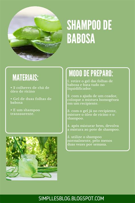 Benefícios da babosa 3 Receitas caseiras para fazer Babosa