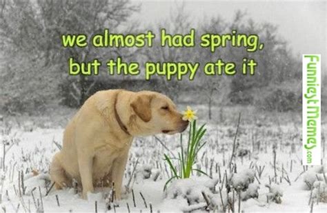 18 First Day Of Spring Memes So You Can Start The Season Off With A Laugh