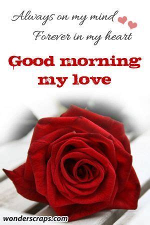 Good Morning Beautiful Roses Quotes - ShortQuotes.cc