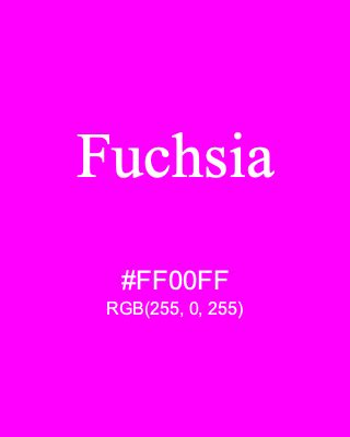 Fuchsia #FF00FF RGB(255, 0, 255) | Color Term