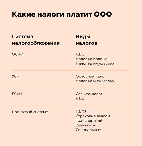 Какие налоги платит ООО? Ставки, расчеты и сроки уплаты