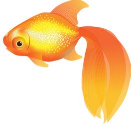 A Cartoon Goldfish Stylized Aquarium Royalty Free Vector