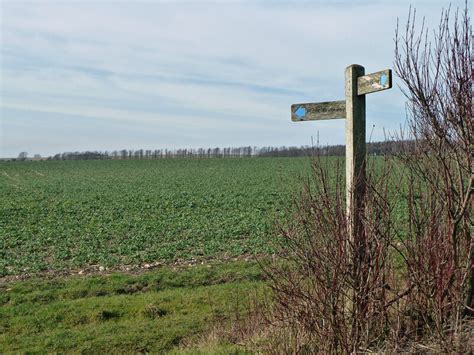 Kale Field Viewed From Bridleway Robin Webster Cc By Sa