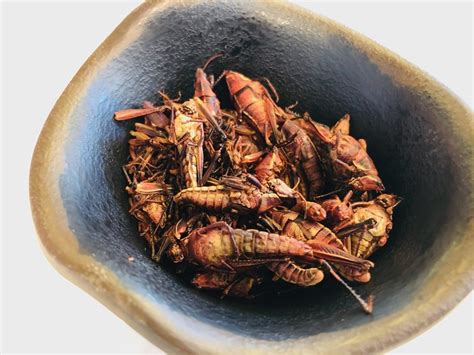 Chapulines - NC Healthy Homes