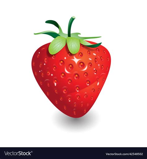 Strawberry Royalty Free Vector Image - VectorStock