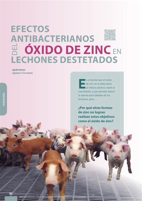 Pdf Efectos Antibacterianos Xido De Zinc Xido De Zinc En Efectos