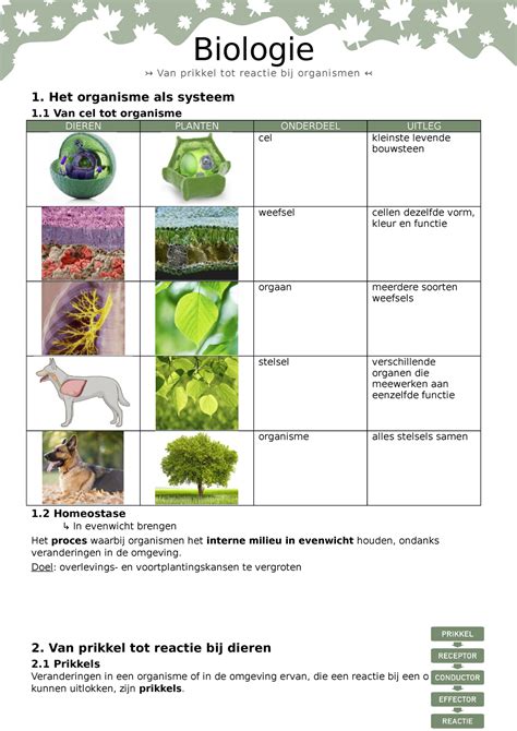 Bio Van Prikkel Tot Reactie Bij Organisme Biologie Van Prikkel Tot