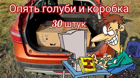 Хорошая коробка для голубей на 2 км - YouTube