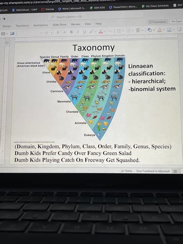 BIOS 102 CH 26 PHYLOGENY Flashcards Quizlet