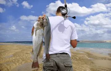 Saltwater Surf Fishing Tips (Techniques, & Tricks For Beginners)