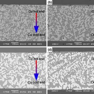 SEM Images Of Ni Sn 58Bi Cu Micro Solder Joints After Thermal Migration