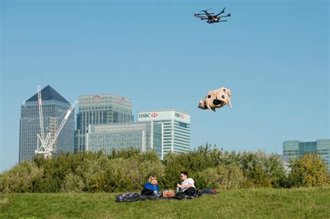 Orchard Pigs Flying Farmyard Animal Delivers Cider To Londoners