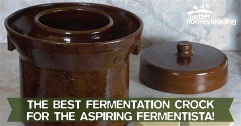 The Best Fermentation Crock For The Aspiring Fermentista! (REVIEW)