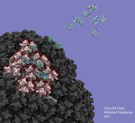 Scientists Examine Rare Blood Clots Linked To Adenovirus COVID 19