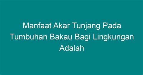 Manfaat Akar Tunjang Pada Tumbuhan Bakau Bagi Lingkungan Adalah Geograf