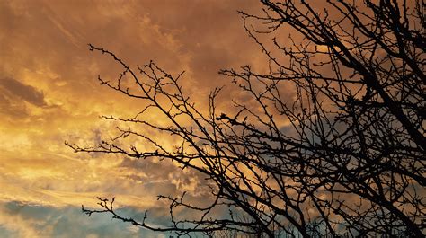 jess ranch apple valley movies 4