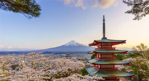 Cómo sobrevivir al monte Fuji el volcán sagrado Traveler