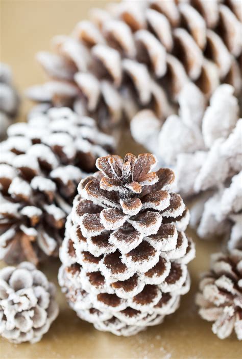 Crafts To Make Using Pine Cones