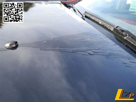 Dacia Fächerdüse für Scheibenwaschwasser-2 x 289307214R
