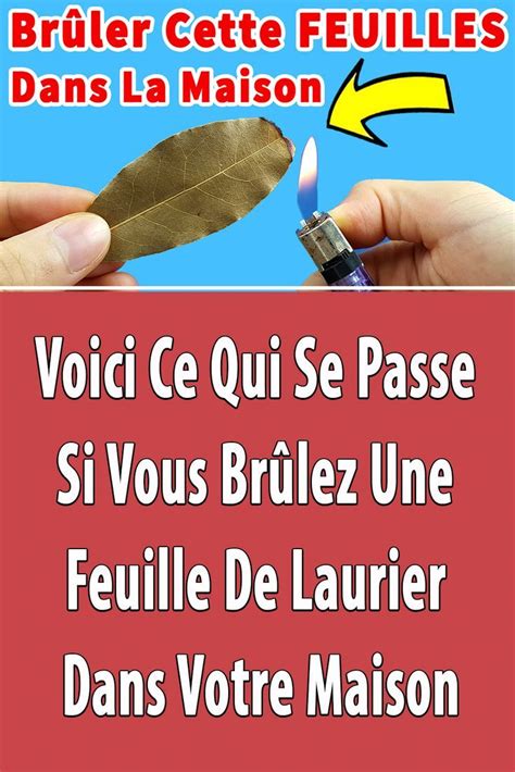 Voici Ce Qui Se Passe Si Vous Brûlez Une Feuille De Laurier Dans Votre