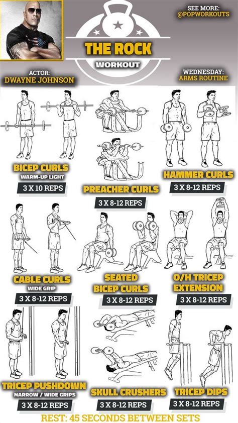 Bicep Tricep Forearm Workout Routine - WorkoutWalls