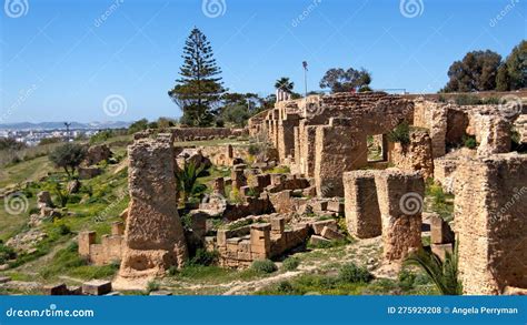 Ancient Ruins of Carthage in Tunis Stock Photo - Image of roman ...