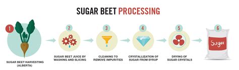 Purification Of Sugar The Canadian Sugar Institute