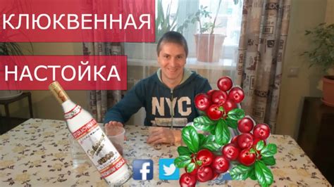 Клюквенная настойка. Рецепт клюквенной настойки. Как сделать клюквенную ...