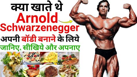 Arnold Workout Plan | Blog Dandk