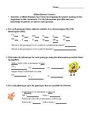 Spongebob Genetics Docx Name Bikini Bottom Genetics Scientists At Bikini Bottoms Have Been