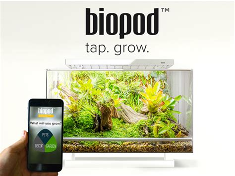 Biopod: App-enhanced Microhabitat for Plants & Animals