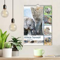 Afrikas Tierwelt Wie Gemalt Wandkalender Din A Hoch