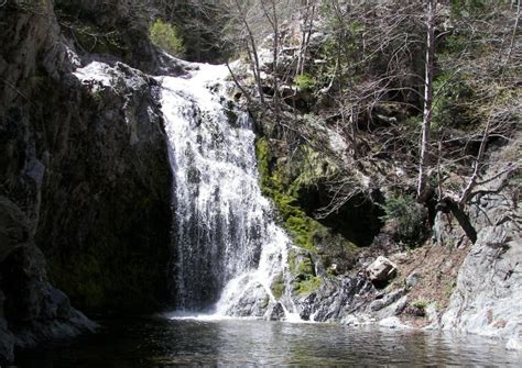 San Gabriel Mountains Adventures Archives CALWILD