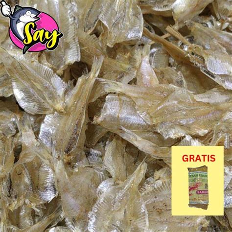 Ikan Asin Kalapan Tipis Tawar 1kg Lazada Indonesia