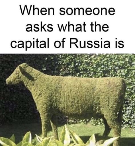 Moscow Rtechnicallythetruth Technically The Truth Know Your Meme