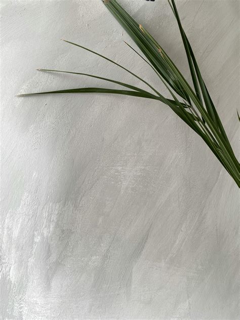 escuro minimalist      escuro minimalist