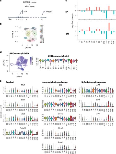 Identification Of LLPCs By A Genetic Pulsechase Approach A