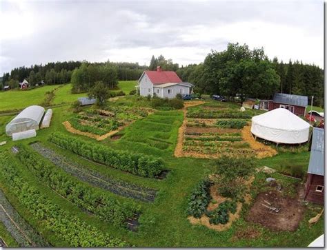 Setting Up A Permaculture Farm In A Temperate Climate Walden Labs