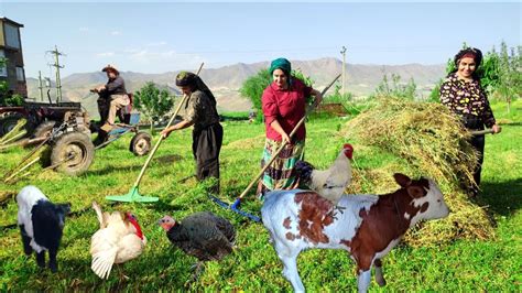 Village Life Daily Routine Village Life Of Iran Village Lifestyle