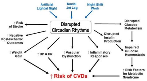 Biomolecules Free Full Text Clocks Rhythms Sex And Hearts How