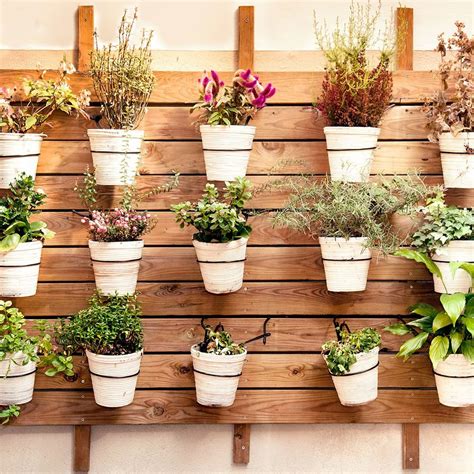 Astuces Pour Cultiver Vos Plantes Aromatiques Jardin Recup