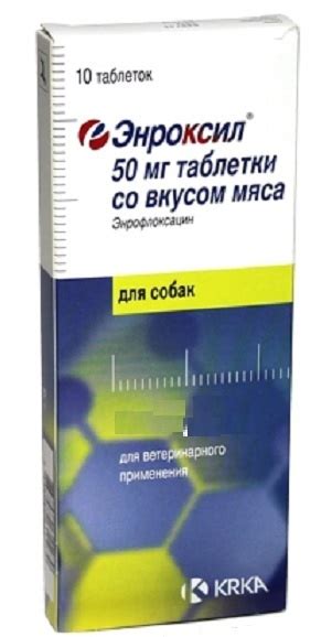 Энроксил 50 мг 10 таб. - купить с доставкой по выгодным ценам в ...