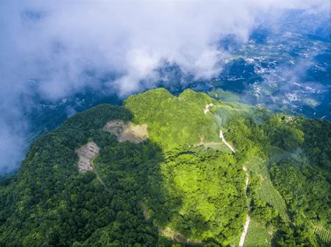 【辉煌“十三五”】秉持两山理念 打造生态兴山发展